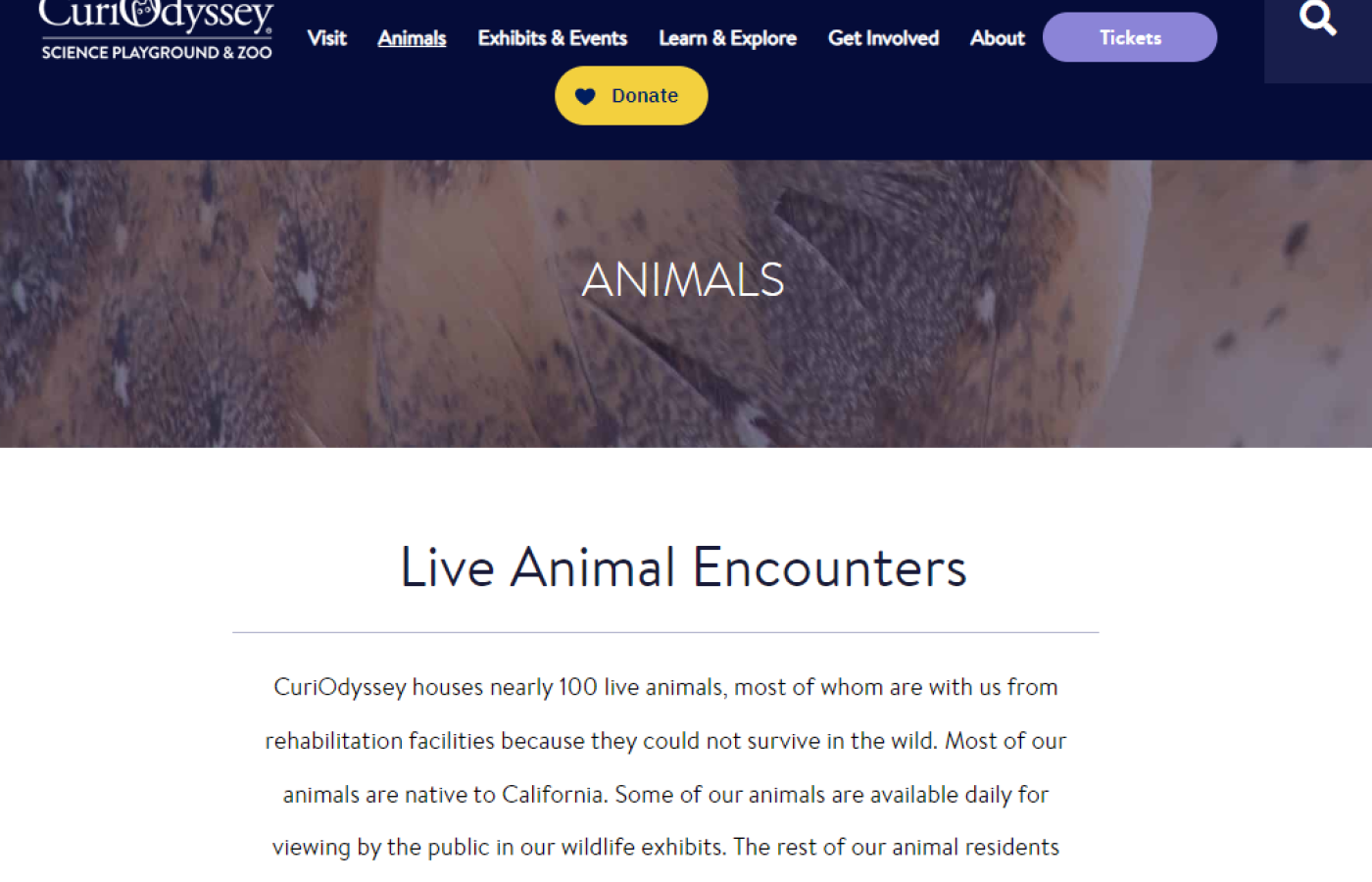 Curiodyssey animal homepage